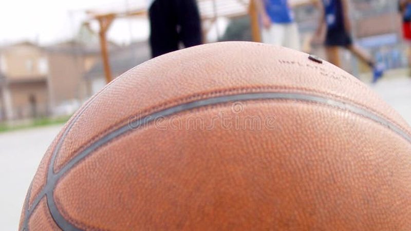 园林公司注册代办：揭秘小型园林公司注册全流程