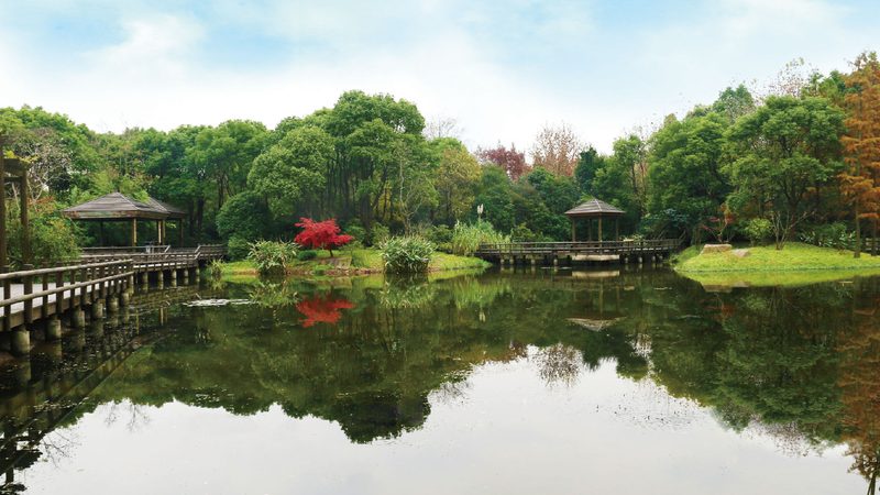 绿植租赁合同模板：规范与要素解析**