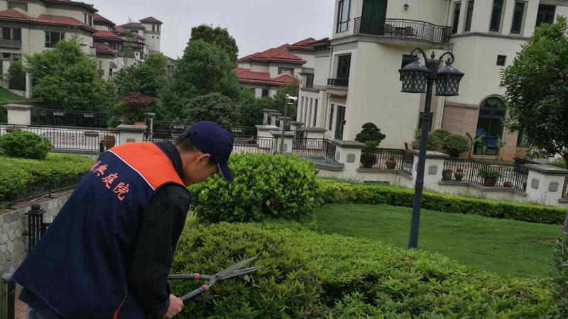 小区绿化设计尺寸要求：标准与要点解析