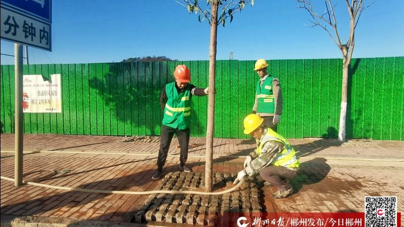 花卉租摆方案设计：打造绿色空间的艺术