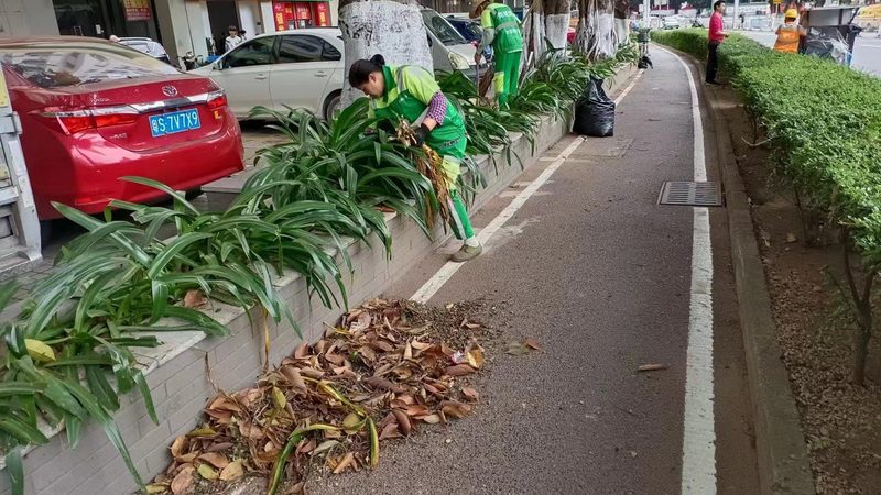 公园假山喷泉，如何打造自然与艺术的完美融合？**