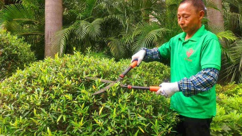 地产景观工程报价单模板：揭秘报价背后的关键要素