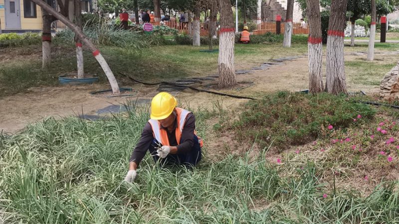 上海别墅花园设计效果图：如何打造私人绿意空间**