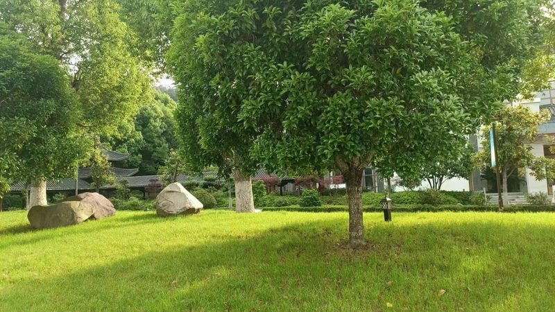 苏州园林公司报价清单：揭秘园林工程成本构成**