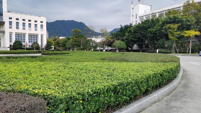 商场立体绿化设计施工：灯光搭配的五大关键**